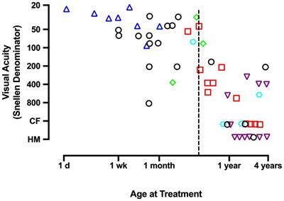 Human deprivation amblyopia: treatment insights from animal models